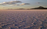 Bandensporen in Salar de Uyuni, Bolivia