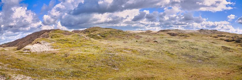 bergen aan zee dune reserve by eric van der eijk
