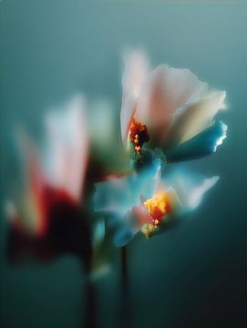 Fading into teal by Olaf Kramer