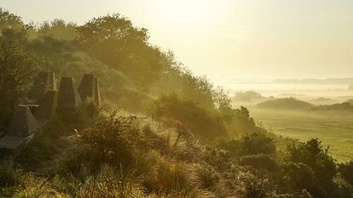 Natuurgebied Lentevreugd Wassenaar