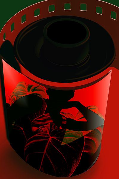 Layers by True Color Stories