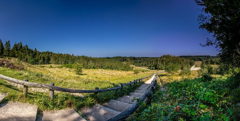 The stairs in nature reserve Kwintelooyen between Rhenen and Veenendaal by Jacques Jullens
