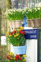 Lente in Amsterdam