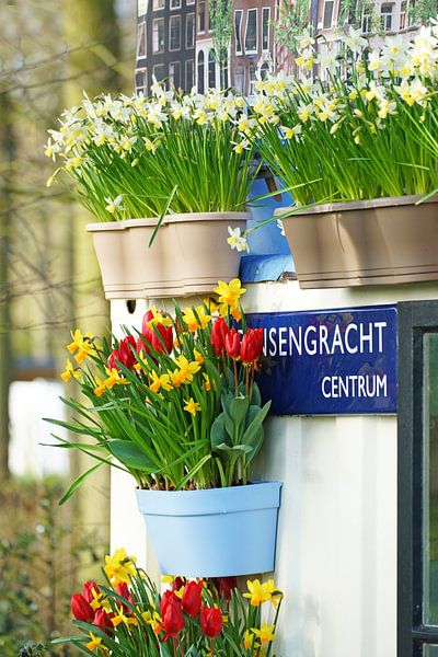 Lente in Amsterdam van Peet Romijn