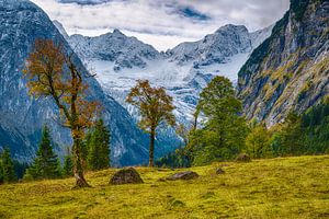 Letztes Herbstlaub im Risstal