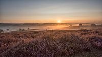 Sunrise at Posbank, Rheden