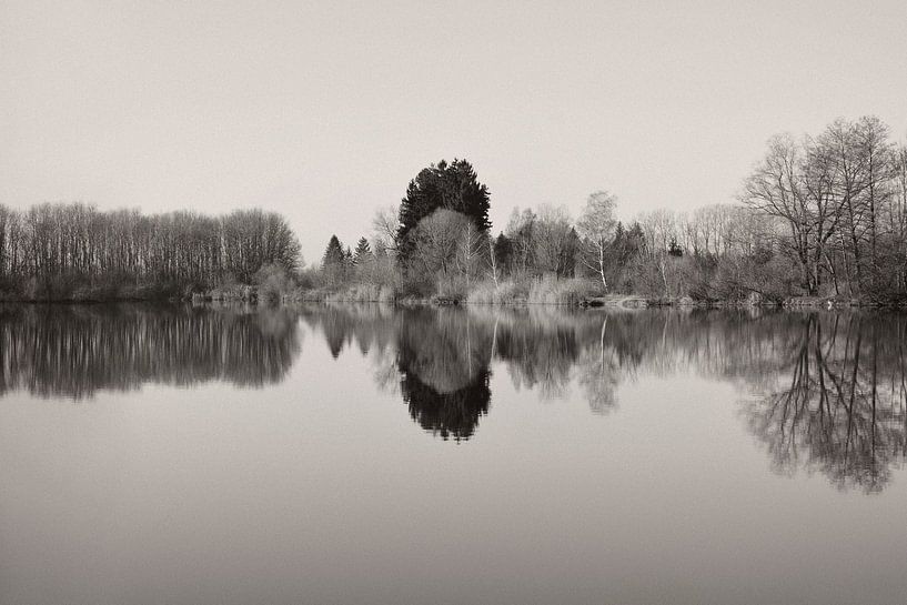 The Mirror von Lena Weisbek