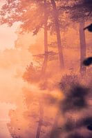 Gouden mist aan het meer
