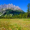 Une prairie fleurie avec le Hochkönig en toile de fond sur Christa Kramer