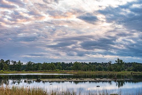 Hatertse en Overasseltse vennen part 10