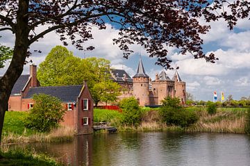 Muiderslot in der Sonne mit Baum 