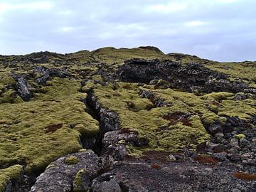 Crevice in lava field by Timon Schneider