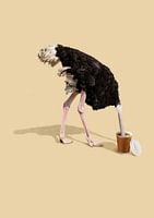 Deep Coffee Dive