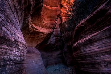 Utah USA Arches van Theo van Woerden