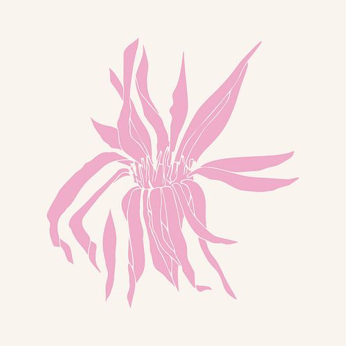 Dessin botanique romantique en rose néon sur fond blanc. 1