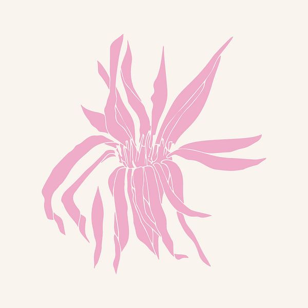 Romantic botanical drawing in neon pink on white no. 1 by Dina Dankers