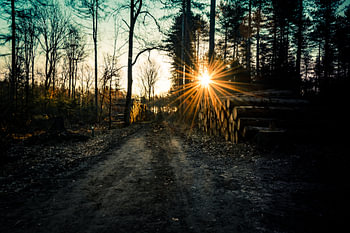 Sunrise Sunrise