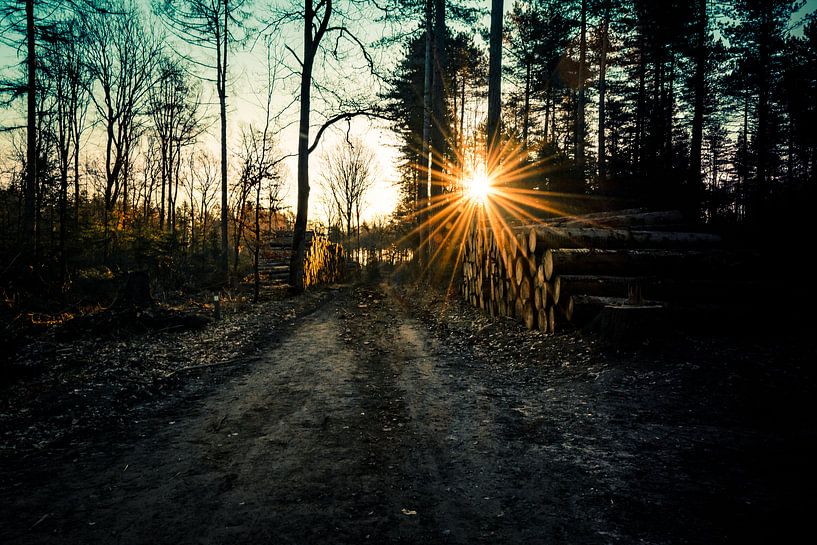 Sunrise Sunrise by Arjen Uijttenboogaart