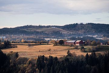 Countryside of Trondheim, Noorwegen van Koen Lipman