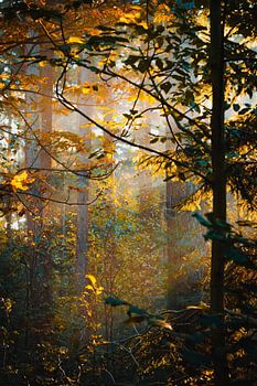 Goldene Stunde