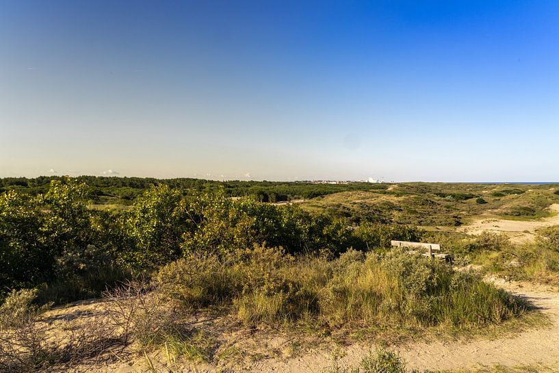 Viewpoint in the dune by Michael Ruland