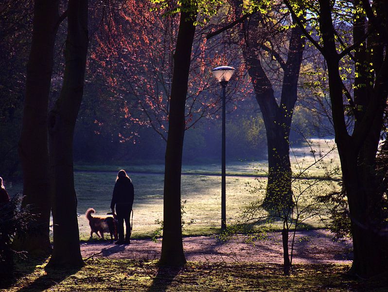 Ochtendlicht van Edgar Schermaul