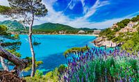 Schöner Blick auf die Bucht von Canyamel auf der Insel Mallorca,