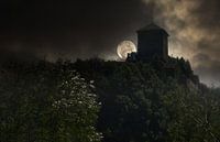 The castle by Markus Moser thumbnail