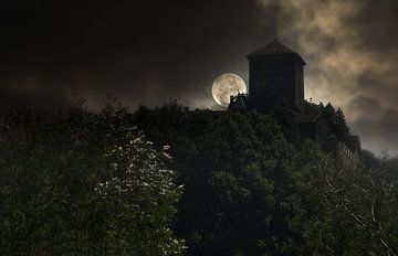 The castle by Markus Moser