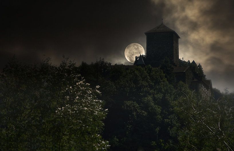 The castle by Markus Moser
