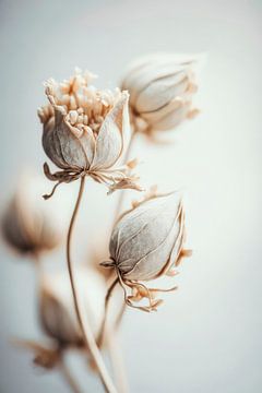 Beige Felt Flowers