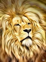Les lions aussi rêvent