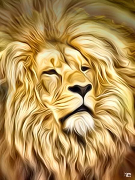 Les lions aussi rêvent par Norbert Hergl