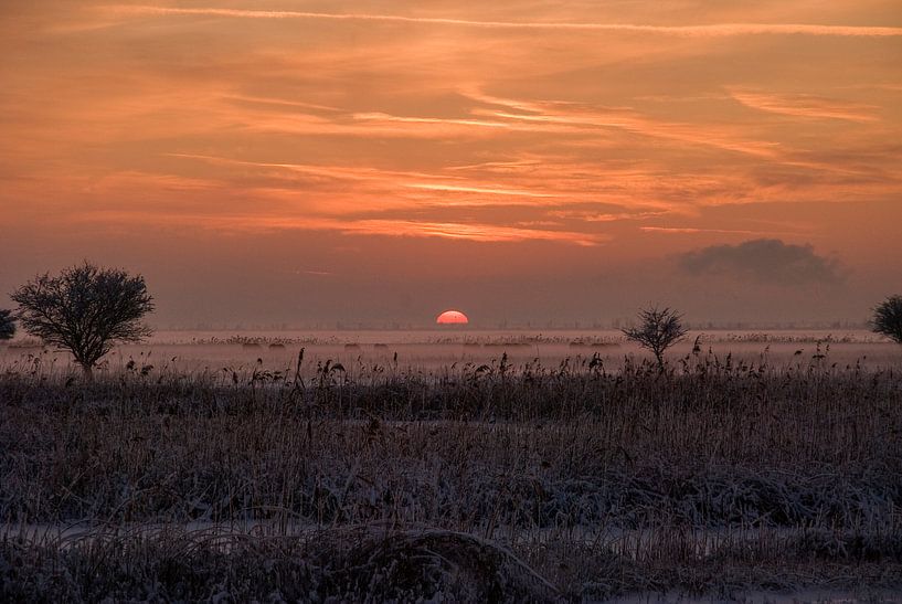 Paysage Paysage par Loek Lobel