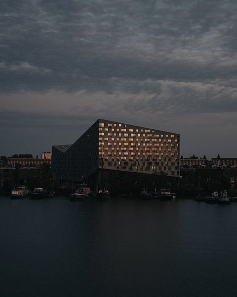 De Walvis van Sam ter Veer