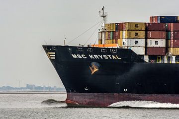 De boeg van een containerschip varend op de Westerschelde van scheepskijkerhavenfotografie