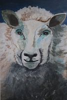 Sheep Rita