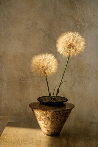 Still life with flowers. Fluff. by Alie Ekkelenkamp