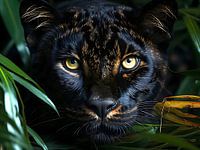 zwarte panter