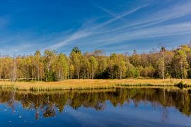 Unterwegs im Nationalpark Rhön von Oliver Hlavaty