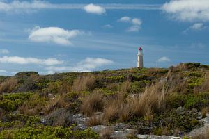 Der Leuchtturm von Mike van den Brink