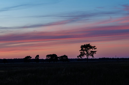 Drentse Savanne