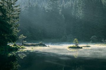 Zonsopgang bij de kleine Arbersee van Max Schiefele