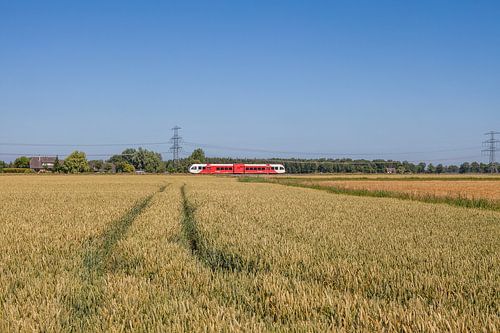 Train through Groningen landscape