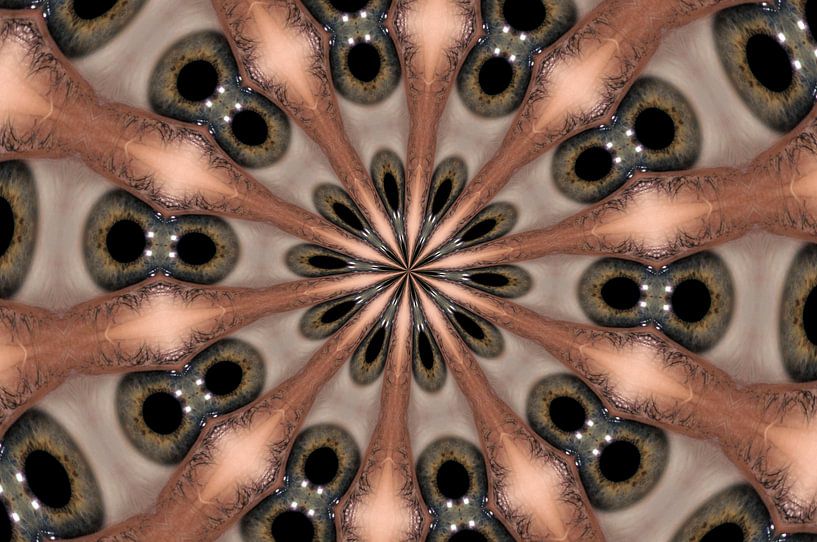 Oog! van Daniel Dorst