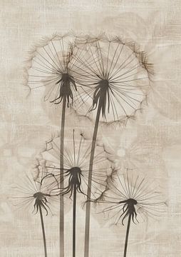 Bloemenschilderij Paardenbloem | Silent Dance of the Dandelions van Modern Collection