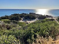 Kreta Natur Foto