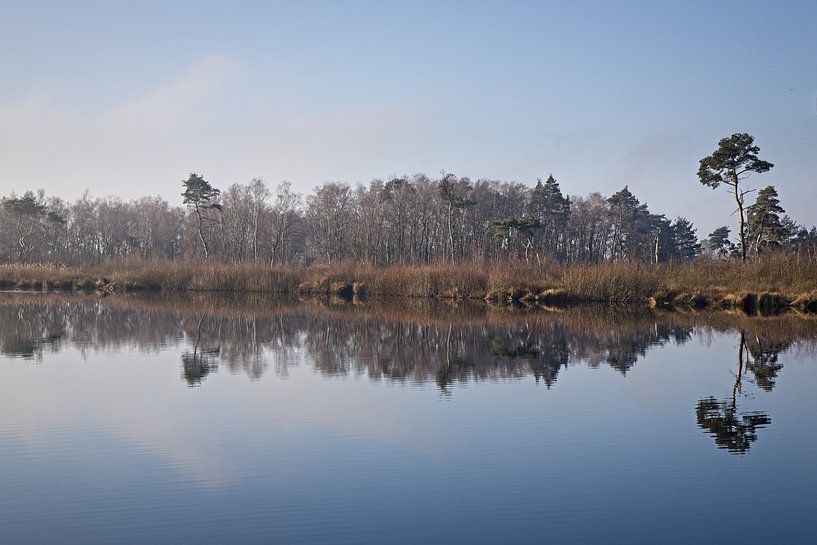 Fen in Groote Peel National Park by Rob Boon