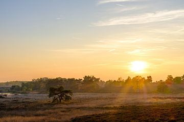 Zonsondergang aan De Teut