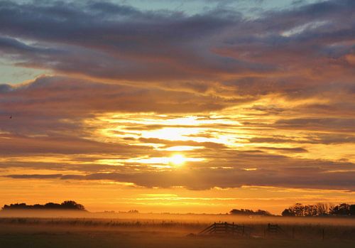 Texel Landschap 035